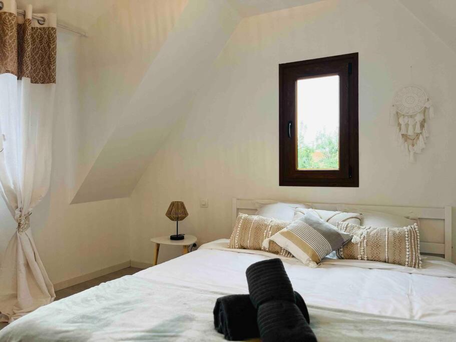 S'Hiesele Petite Maison Alsacienne Typique Ittenheim Екстер'єр фото